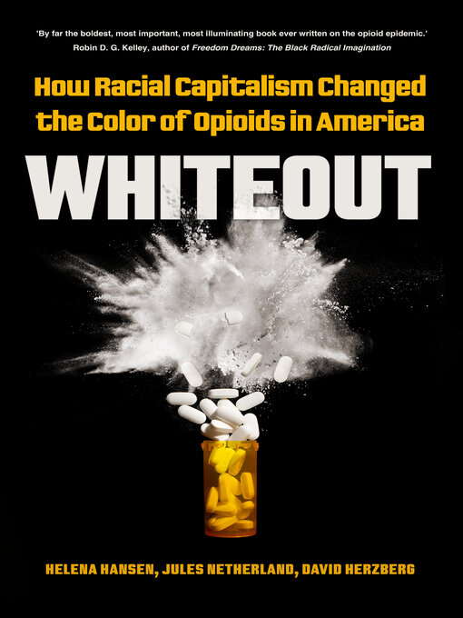 Title details for Whiteout by Helena Hansen - Available